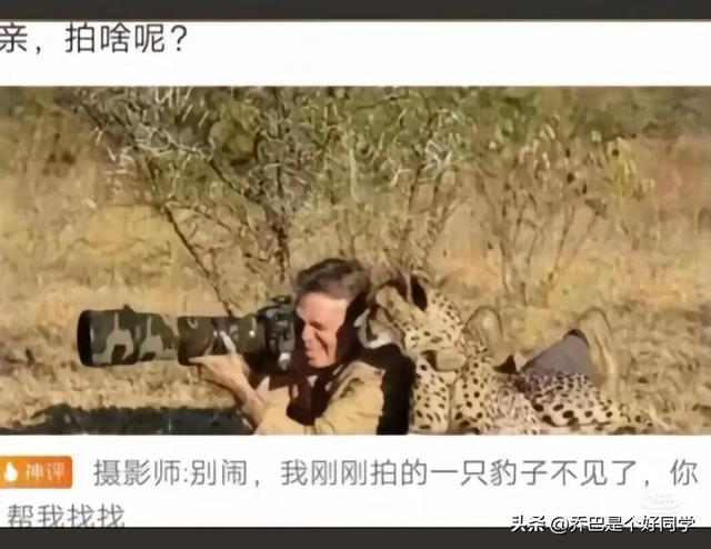 盘点那些沙雕的搞笑图片，太搞笑了-6.jpg