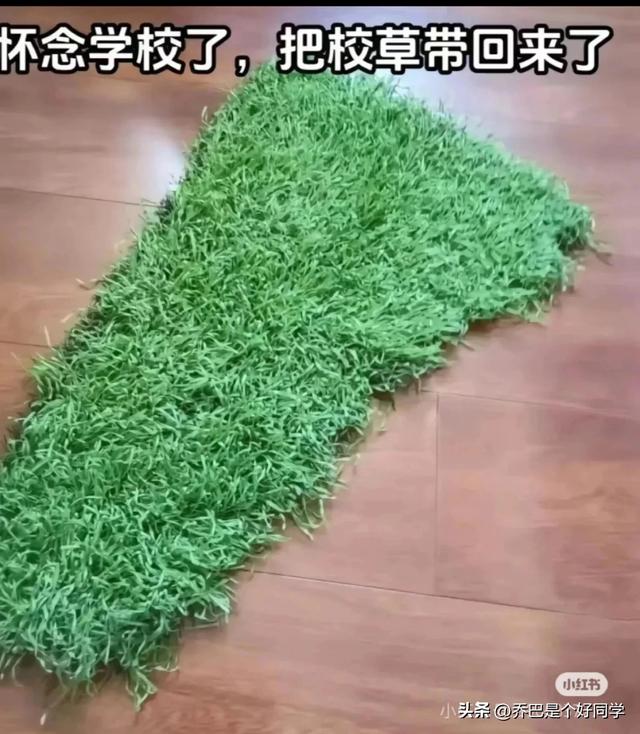 盘点那些沙雕的搞笑图片，太搞笑了-11.jpg