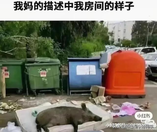 盘点那些沙雕的搞笑图片，太搞笑了-14.jpg