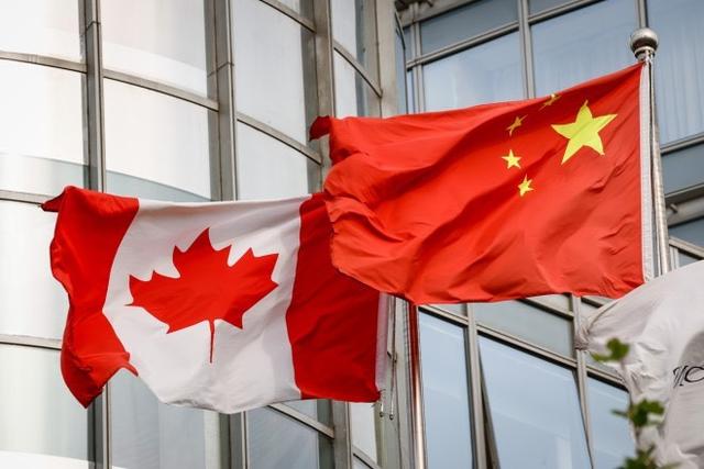 加拿大真要并入美国？碰瓷中国转移火力失败，开始大谈美加一体化-2.jpg